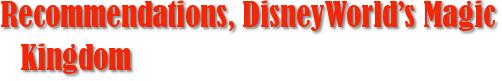 Recommendations, DisneyWorld’s Magic Kingdom