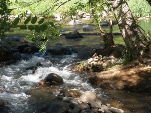 Creek at Rancho Sedona RV Park
