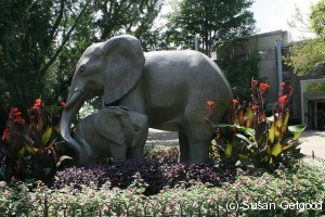 ElephantZoo
